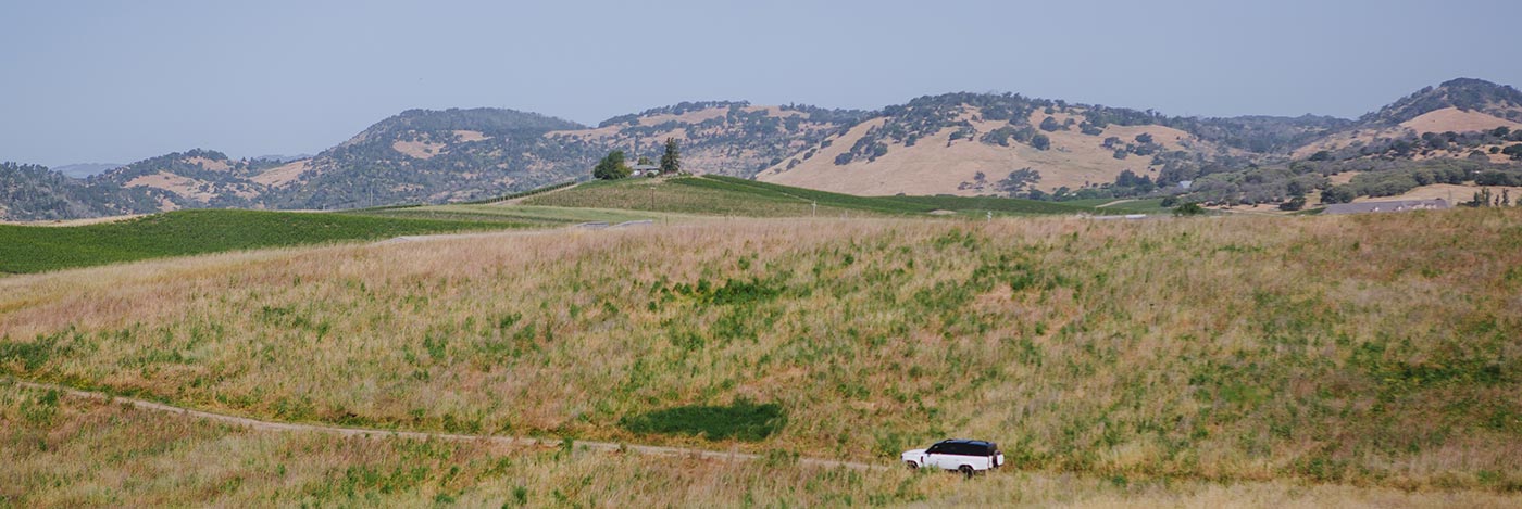 Explore the rolling hills and picturesque vineyards in the ultimate comfort of a premium Land Rover Defender.